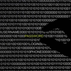 File picture illustration of the word 'password' pictured on a computer screen, taken in Berlin May 21, 2013. Security experts warn there is little Internet users can do to protect themselves from the recently uncovered "Heartbleed" bug that exposes data to hackers, at least not until vulnerable websites upgrade their software. Researchers have observed April 8, 2014, sophisticated hacking groups conducting automated scans of the Internet in search of Web servers running a widely used Web encryption program known as OpenSSL that makes them vulnerable to the theft of data, including passwords, confidential communications and credit card numbers. OpenSSL is used on about two-thirds of all Web servers, but the issue has gone undetected for about two years.  REUTERS/Pawel Kopczynski/Files    (GERMANY - Tags: CRIME LAW SCIENCE TECHNOLOGY) CYBERSECURITY-INTERNET/BUG