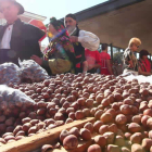 Las avellanas, producto estrella y referente de la romería de San Froilán.