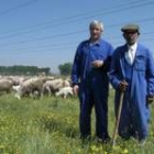 Un cuñado y un hermano del desaparecido, junto al rebaño de ovejas del que ya se han muerto cuarenta