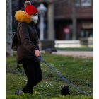 Una mujer pasea a su perro por una de las zonas verdes de la capital.