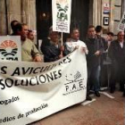 Los productores de pollo, ante la sede de la patronal avícola en Madrid