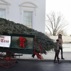 Michelle Obama y sus hijas reciben el abeto en la Casa Blanca.