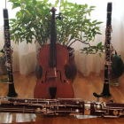 Imagen cedida por el cuarteto de clarinetes, fagot y viola. DL