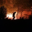 León sufrió el año pasado uno de los veranos más duros en la propagación de incendios