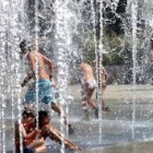 Los meses con clima más suave merman los registros de mortandad