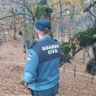 Imagen facilitada por la Guardia Civil de uno de los operativos en sotos. DL