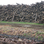 Madera apilada para su uso como biomasa, en Saldaña.