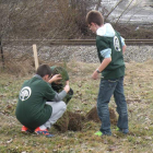 Varios alumnos plantan un árbol en las inmediaciones de la cementera.