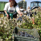 El número de trabajadores extranjeros sigue incrementándose en la provincia. NORBERTO