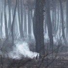 Incendio en el pinar de Tabuyo