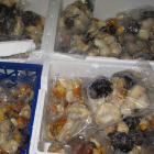 Alimentos incautados en las inspecciones.