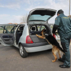 La operación fue llevada a cabo por la Guardia Civil.
