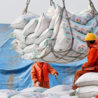 Unos operarios descargan sacos de soja en el puerto de chino de Nantong.