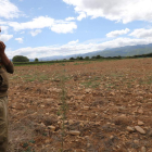 David, uno de los jóvenes que ha optado por una finca del Banco de Tierras para sacarle producción, en la llanura berciana.