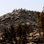 Imagen de un cerro calcinado en el parque natural de Sierra Mariola.