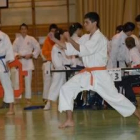 Los luchadores leoneses rayaron a gran altura a lo largo del torneo