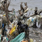 Vegetación costera cubierta por los plásticos transportados por la superficie del mar