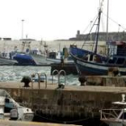 La flota permanece amarrada en el puerto de Tarifa, en Cádiz