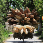 EFE/LUONG THAI LINH