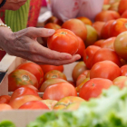 Los científicos estudian controlar el proceso de maduración sin afectar a las propiedades de los tomates. fernando otero