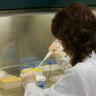 Las pruebas de detección precoz ayudarán a reducir la incidencia del cáncer de colon.