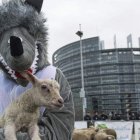 Protesta ante las instituciones europeas por concesiones pasadas a la desprotección de los ganaderos frente al lobo. efe