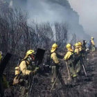 Los efectivos de Tabuyo trabajan en La Baña. @BRIFTABUYO