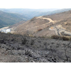Paisaje de La Cabrera tras el incendio de 10.000 hectáreas.