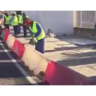 Hasta 52 operarios trabajan en una acera de poco más de 200 metros en Granada.