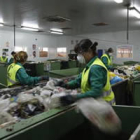 Trabajadores del CTR en las cintas de selección de residuos en el complejo de San Román de la Vega.