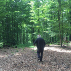 El artista Hermann de Vries, caminando por el campo. MUSAC