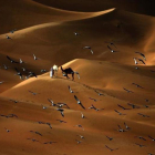 Las palomas vuelan sobre el desierto de Liwa, a 250 kilómetros al oeste del emirato del Golfo de Abu Dhabi.