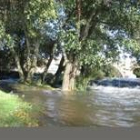 El Órbigo, cargado de agua en los últimos días, se ha metido en la playa del puente de la Vizana