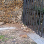 Los pedruscos desprendidos de la muralla en la calle San Alvito