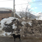 Los montones de nieve han despertado quejas.