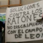 La presencia de ratones ya movilizó al campo en invierno