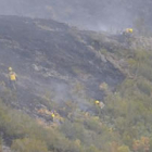 Brigadistas trabajando en el incendio de Murias de Paredes.