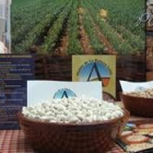 Uno de los puntos importantes del certamen será la exaltación gastronómica de la comarca