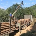 El aprovechamiento de la madera de los montes de utilidad pública supone beneficios para los pueblos