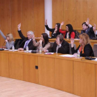 Pleno de hace un año en el que la oposición votó a favor de investigar el cobro de las clases.