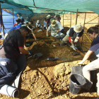 Un grupo de dieciocho expertos trabaja en la fosa de Joarilla de las Matas.