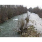 La mejora de las márgenes del Torío a su paso por Villaquilambre supone actuar a lo largo de 3,7 kil