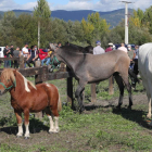 Caballos a la venta, ayer en la feria de ganado de San Miguel en Cacabelos. ANA F. BARREDO