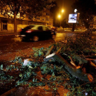 Árboles caídos por el suelo a causa de los vientos de la tormenta tropical Leslie, en Benfica (Portugal).