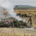 Un operario realiza tareas para eliminar frutales afectados por el fuego bacteriano