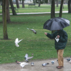 Imagen de archivo de un hombre que da de comer a las palomas en el Plantío. L. DE LA MATA