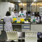 Técnicos trabajan en el laboratorio de investigación  de ADN para la secuenciación de genes en Nanjing.