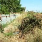 En Villaverde, en la foto, se localizó la mayor plantación de marihuana