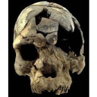 Cráneo de Homo Sapiens de 160.000 años