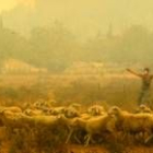 Un pastor intenta salvar su rebaño del incendio que se ha declarado en la localidad de Chania